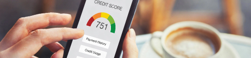Credit Score Monitoring